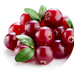 Hyaluronic Acid